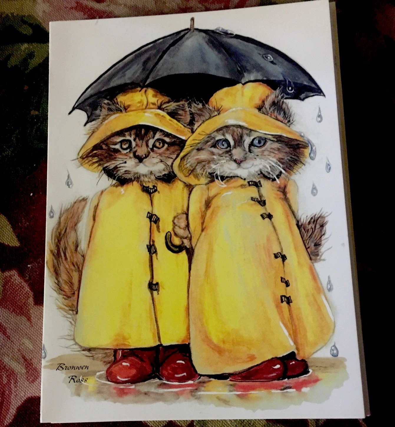 Cat Greeting Card 12 Pack Set Kittens Under Umbrella 5×7” FurEver Friends No Box
