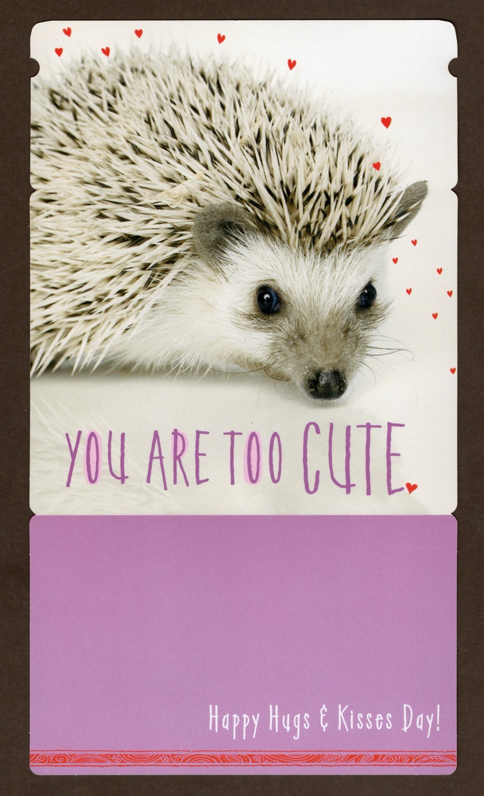 Large Hedgehog Valentine’s Day Card, Unfolded 9″ x 5″ Hedgie New