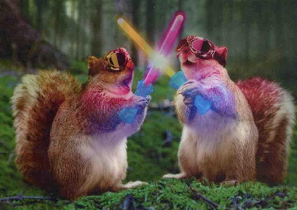 MAY THE FUN BE WITH YOU Lenticular Birthday Card SQUIRRELS & LIGHTSABERS Avanti