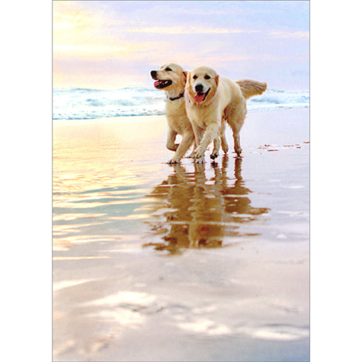 Avanti Press Golden Retriever Dogs Walking on Beach Anniversary Card