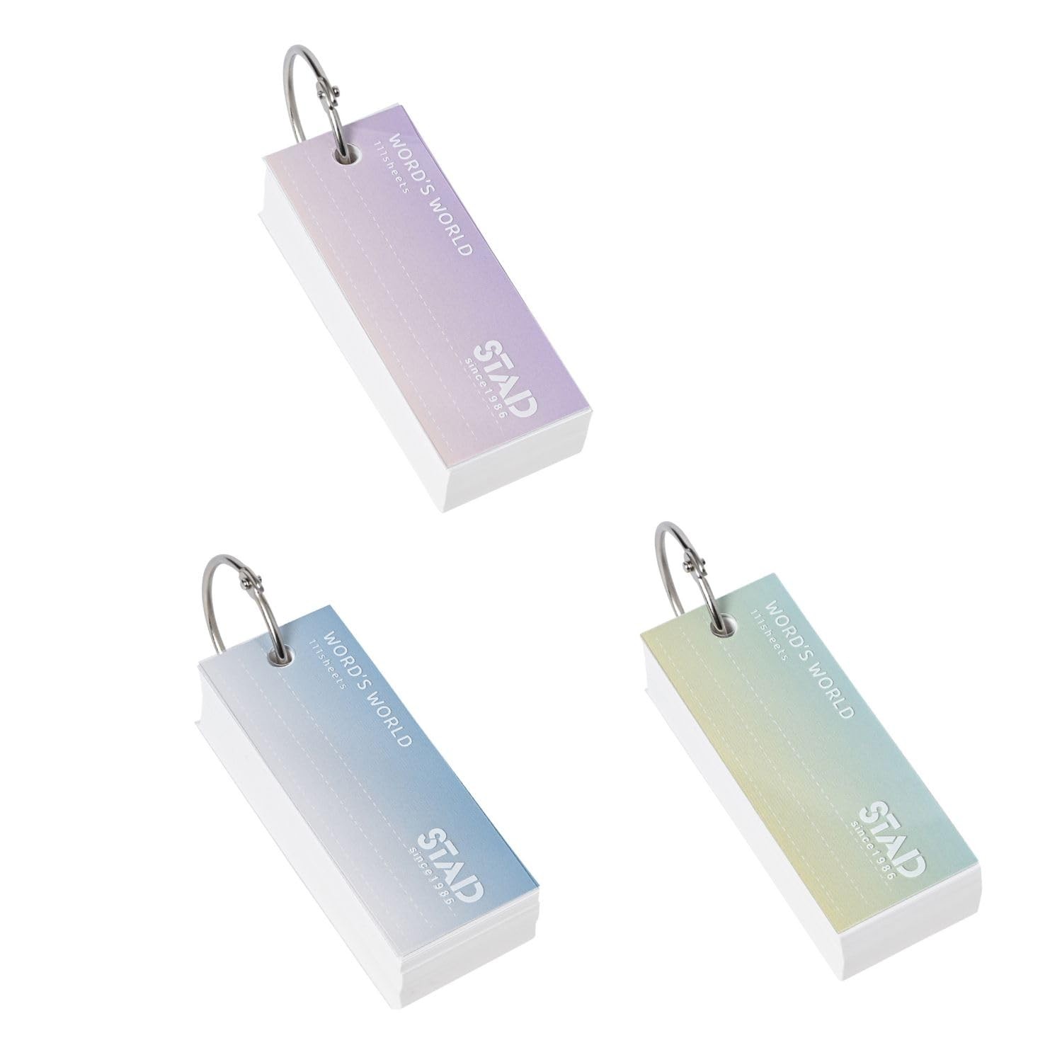 Kutsuwa STAD Word Cards, Medium, 12-Pack SC246-12P