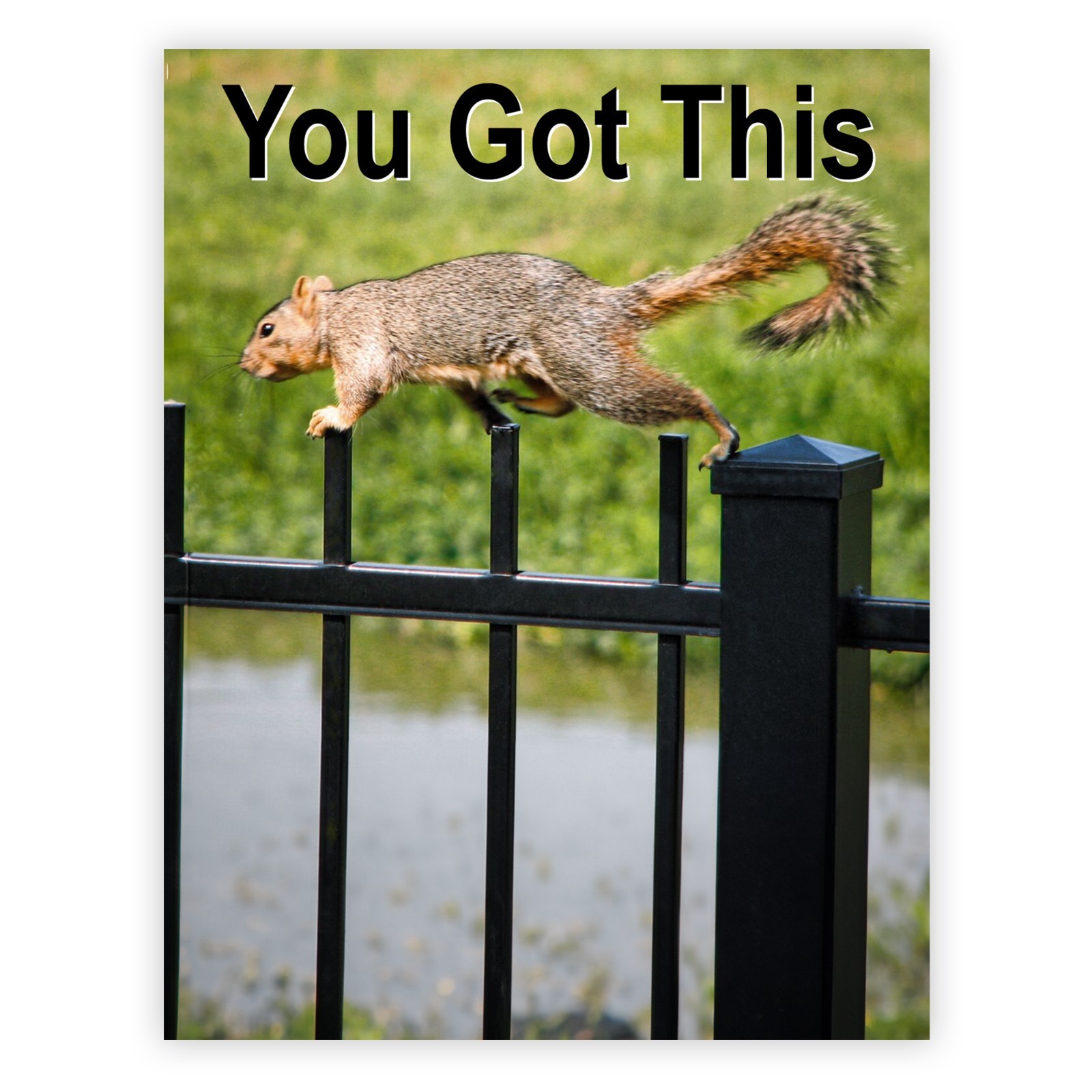 Sure-Footed Squirrel You Got This Encouragement/Motivational Greeting Card