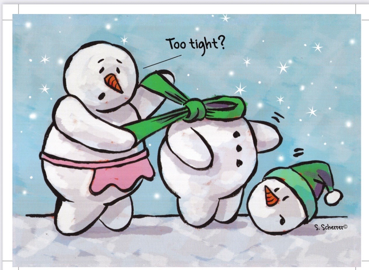 Funny, Sarcastic Christmas Greeting Holiday Cards, Variety Pack Boxed-16-cards
