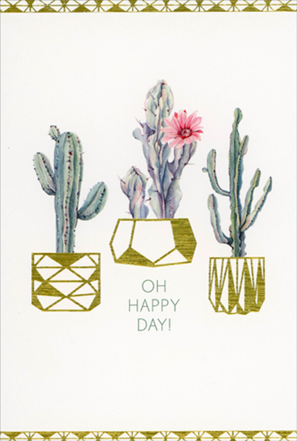 Pictura Birthday Cactus Gold Foil Pots Birthday Card