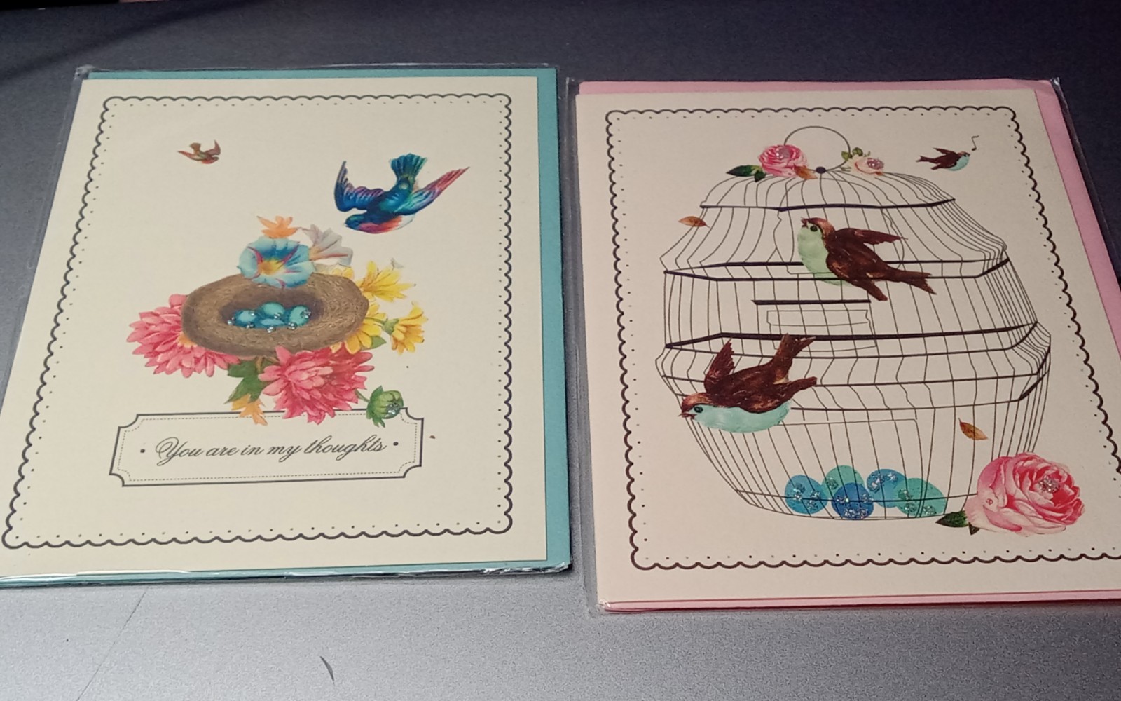 2 Unique Spring Bird Cage Greeting Cards Limited Hand Painted Driscoll Designs