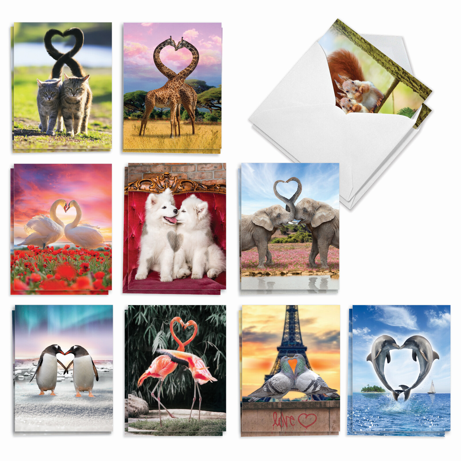 20 Assorted Blank Cards (10 Designs, 2 Each) – Loving Animals AM3504OCB-B2x10