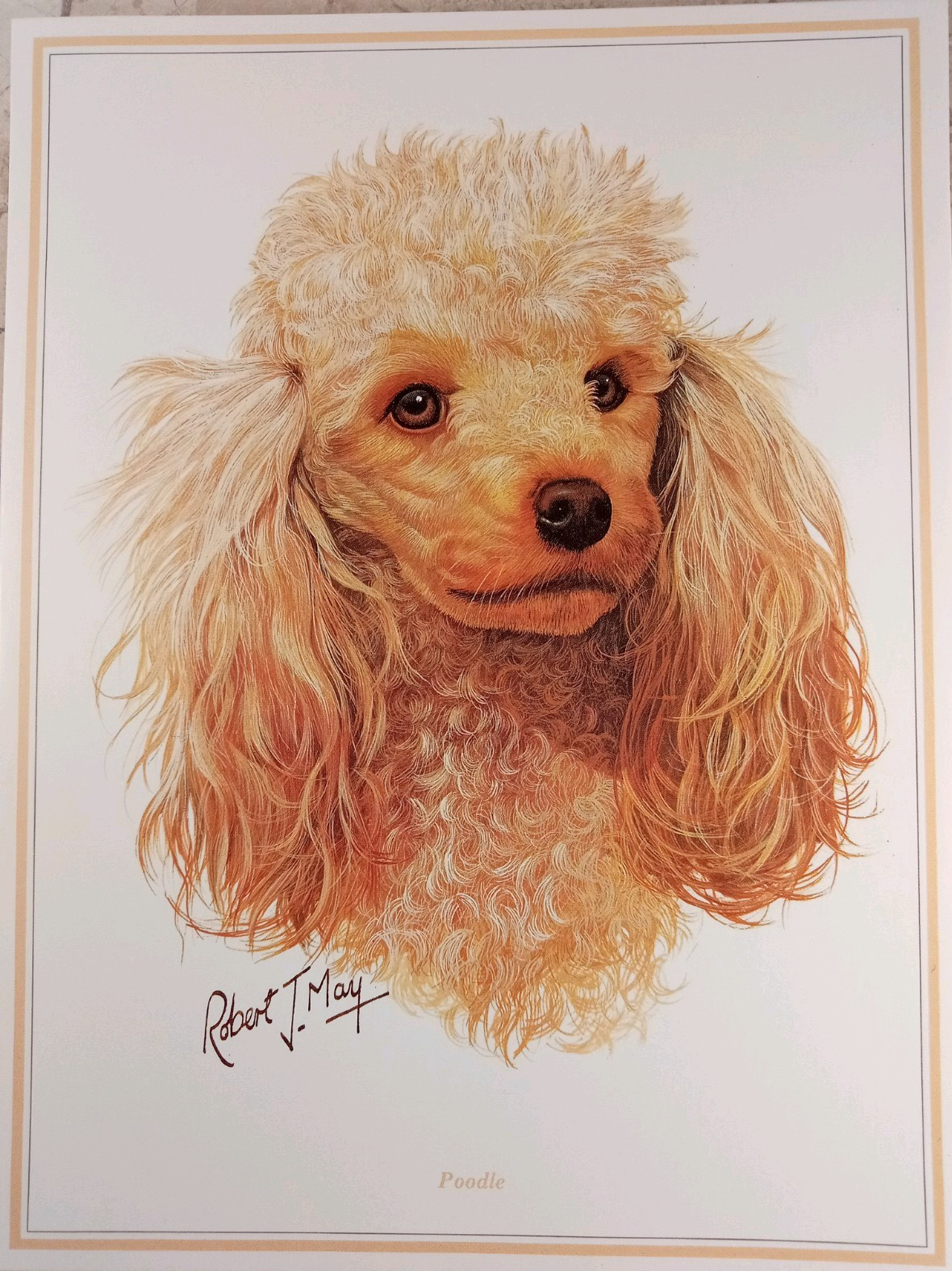 Poodle Dog Robert May Fine Art Greeting Card Blank 6″x8″ Envelope Quay Dorset UK