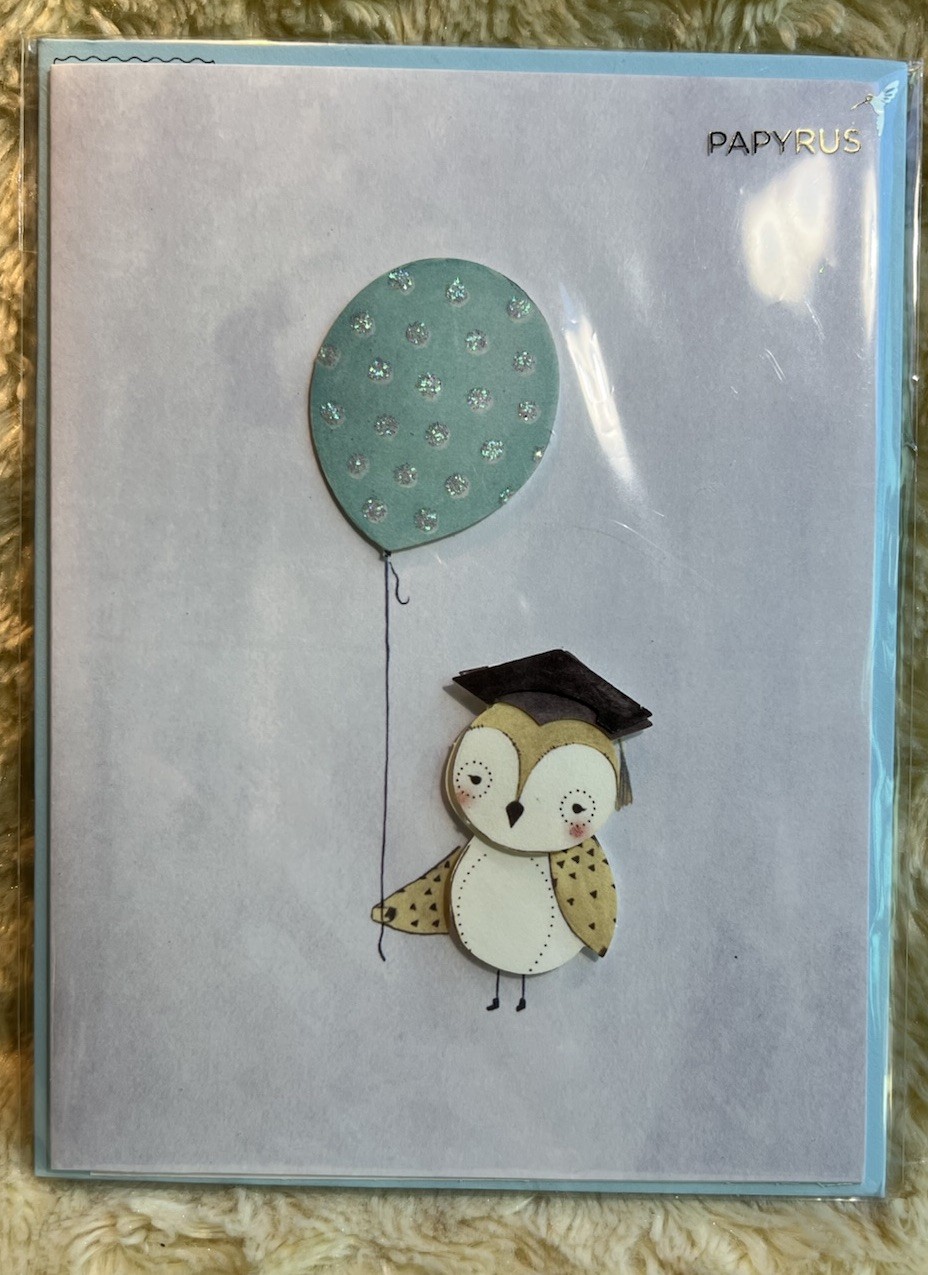 Papyrus Graduation Card 3D Owl Cap Glitter Balloon Wise & Wonderful Graduate (D)