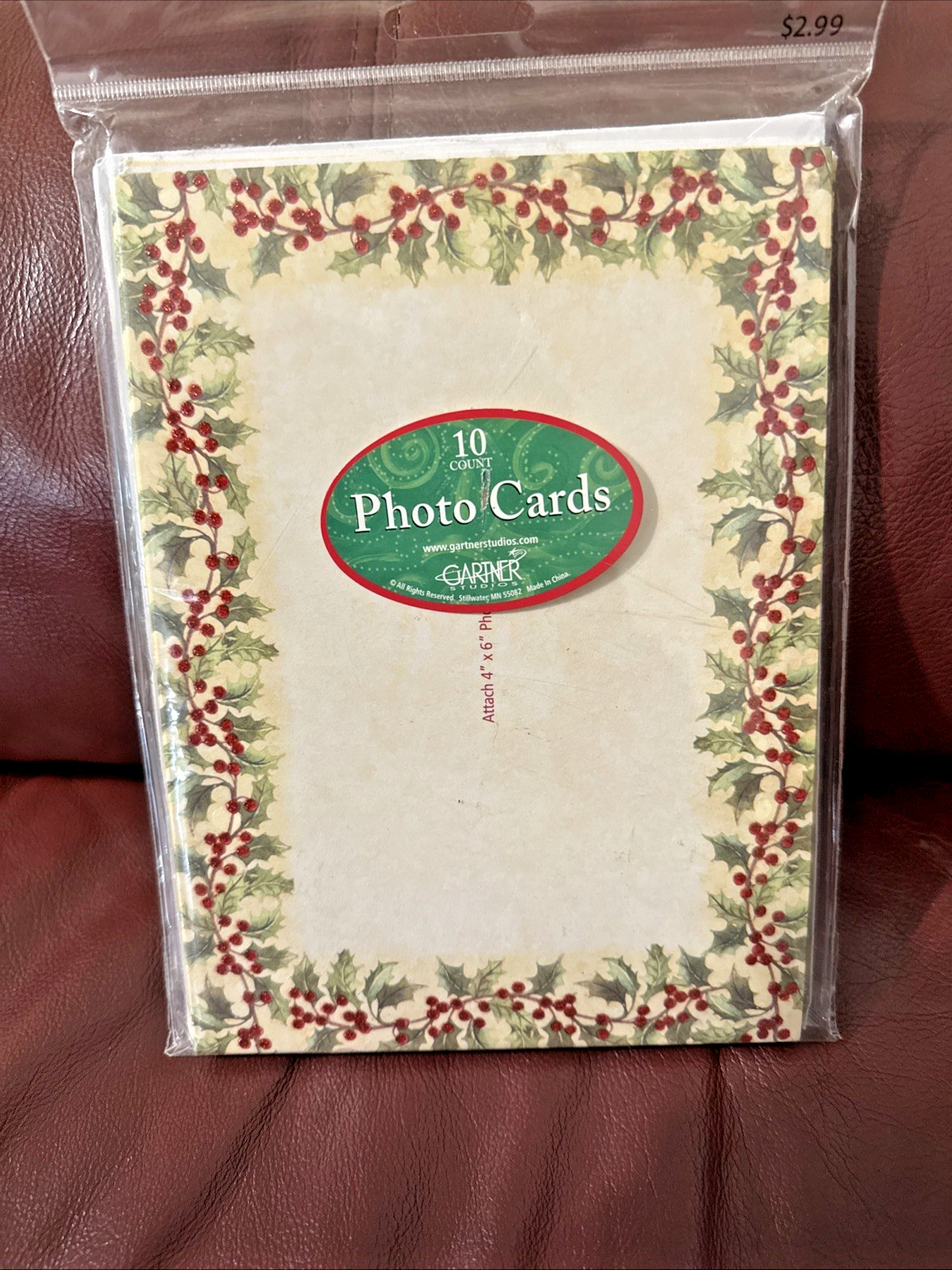 Gartner Studios Festive Holly Border Photo Card 10 Count Happy Holidays