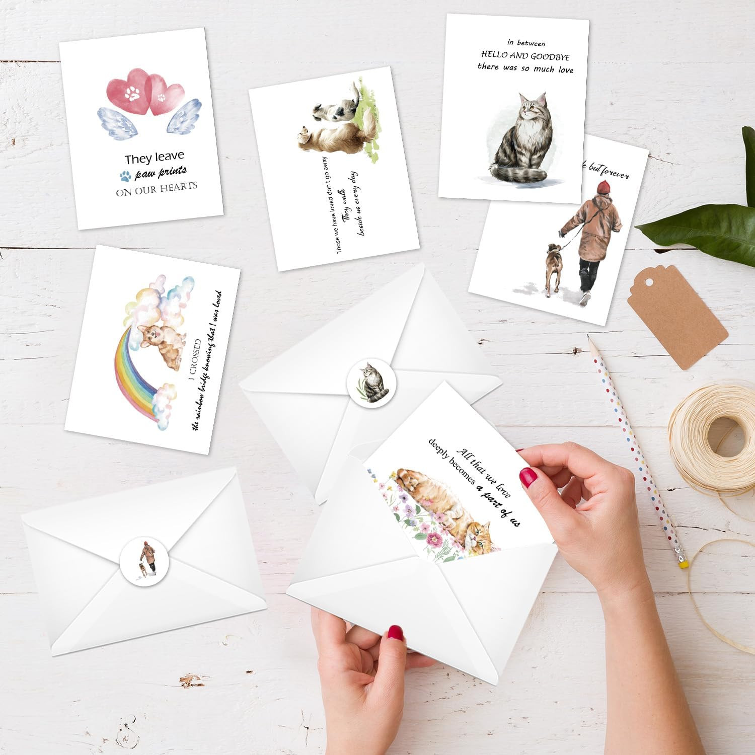Pet Sympathy Cards Set – 24 Pack Sympathy Cards with Envelopes Stickers Sympathy