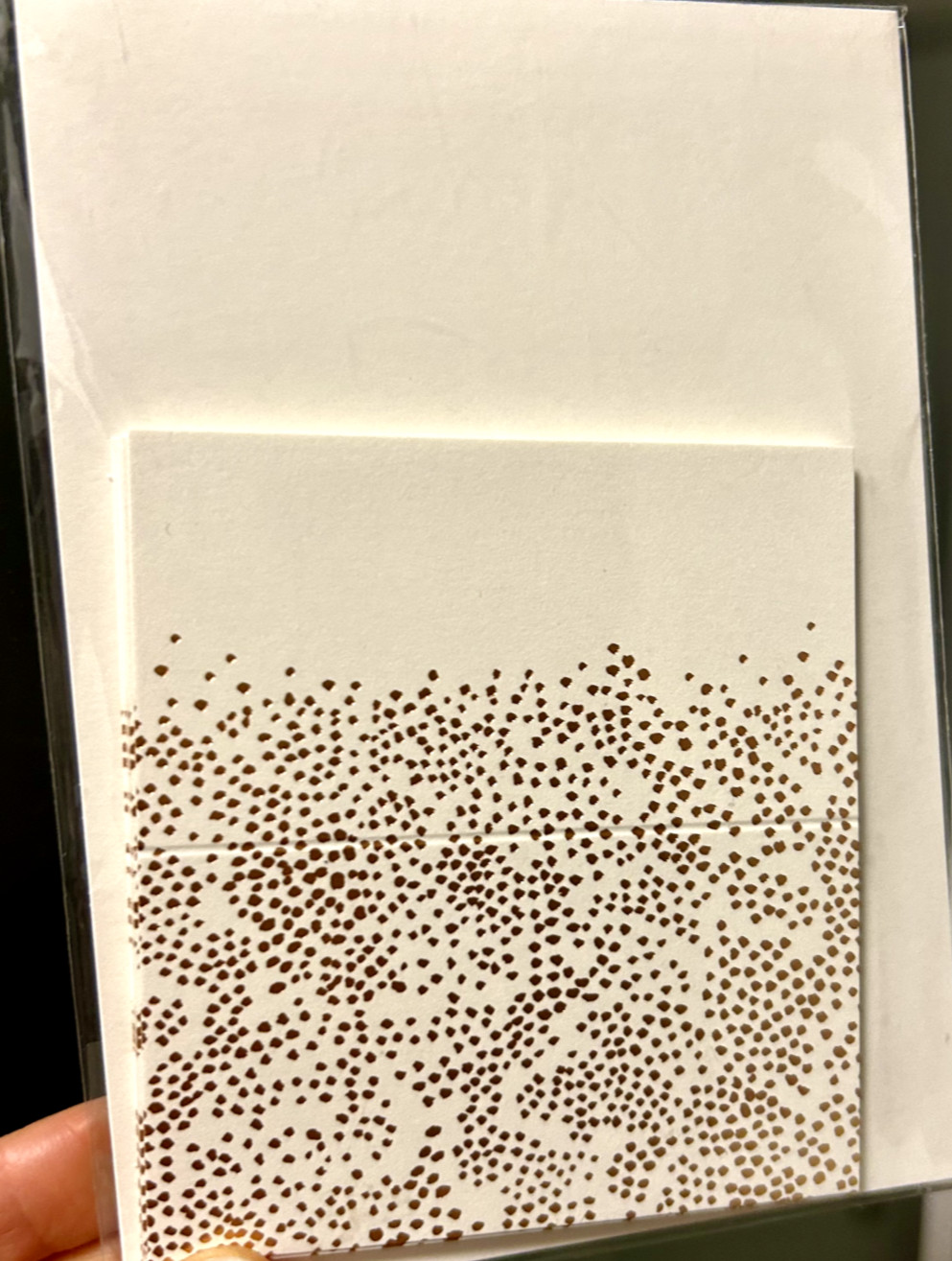 Festive Folding Table Place Cards~Set of 8~Rifle Paper Co