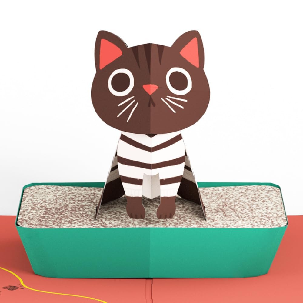 Thanks for Putting Up with My Crap Funny 3D PopUp Mother’s Day Card for Mom …