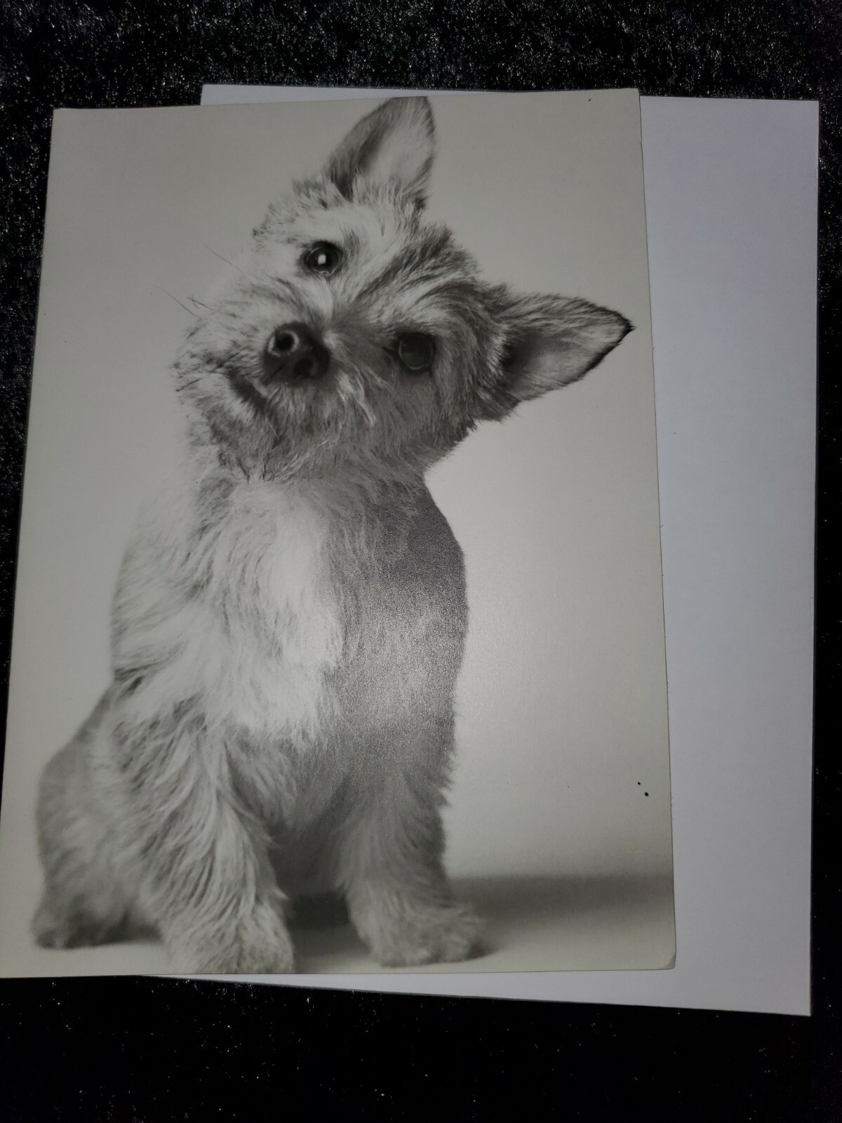Single Happy Birthday Greeting Cards Group L