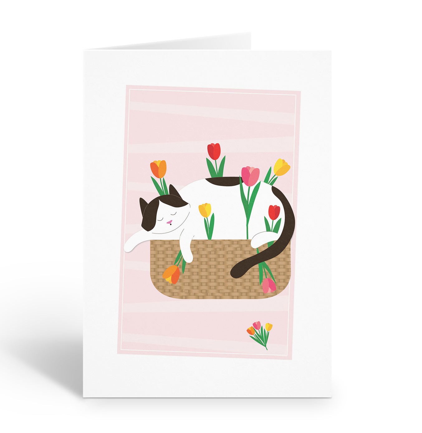 Sleeping Cat Blank Note Cards – 10 Cards w/Envelopes – Size 4.25″ x 5.5″