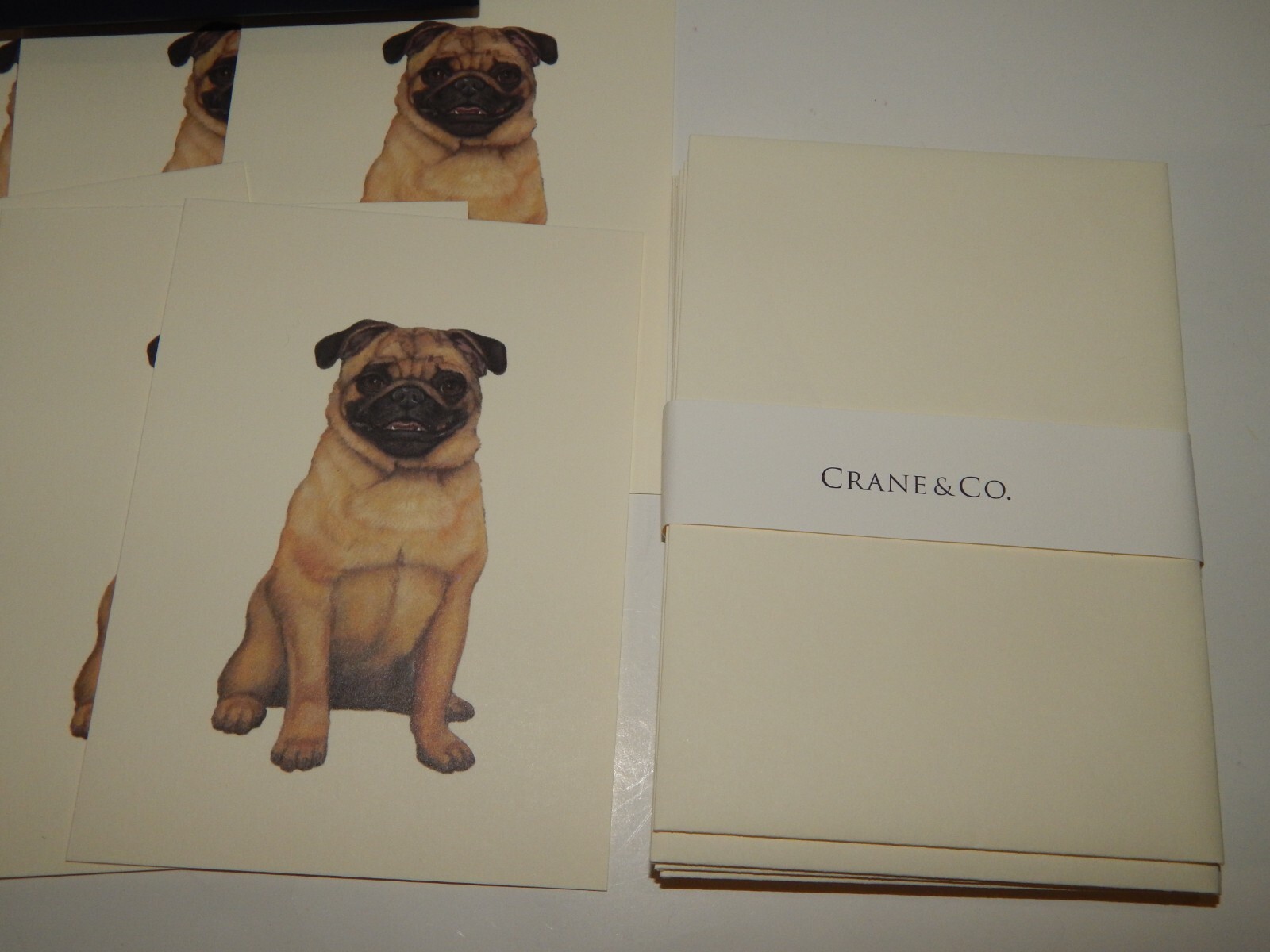 Crane & Co Pug Blank Greeting Cards 9 Cards 9 Envelopes SN164