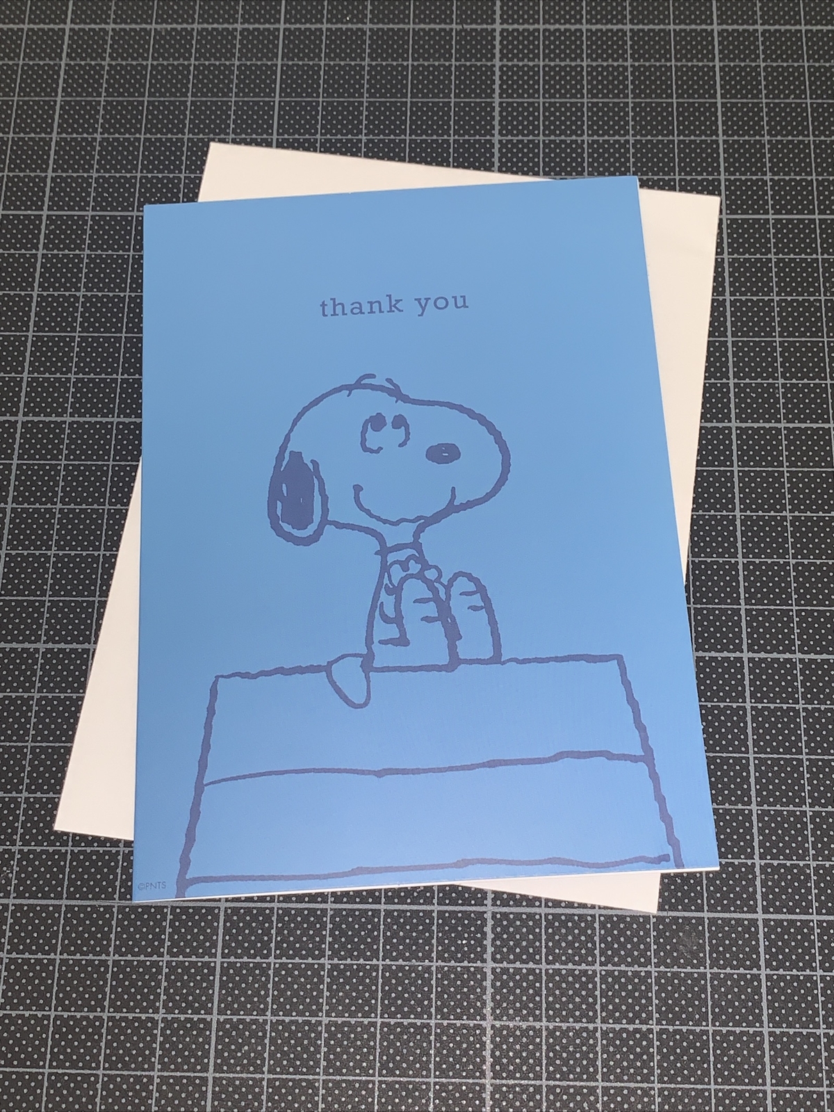 Graphique Peanuts Snoopy Thank You Blank Card: Blue Sitting On Roof Appreciating