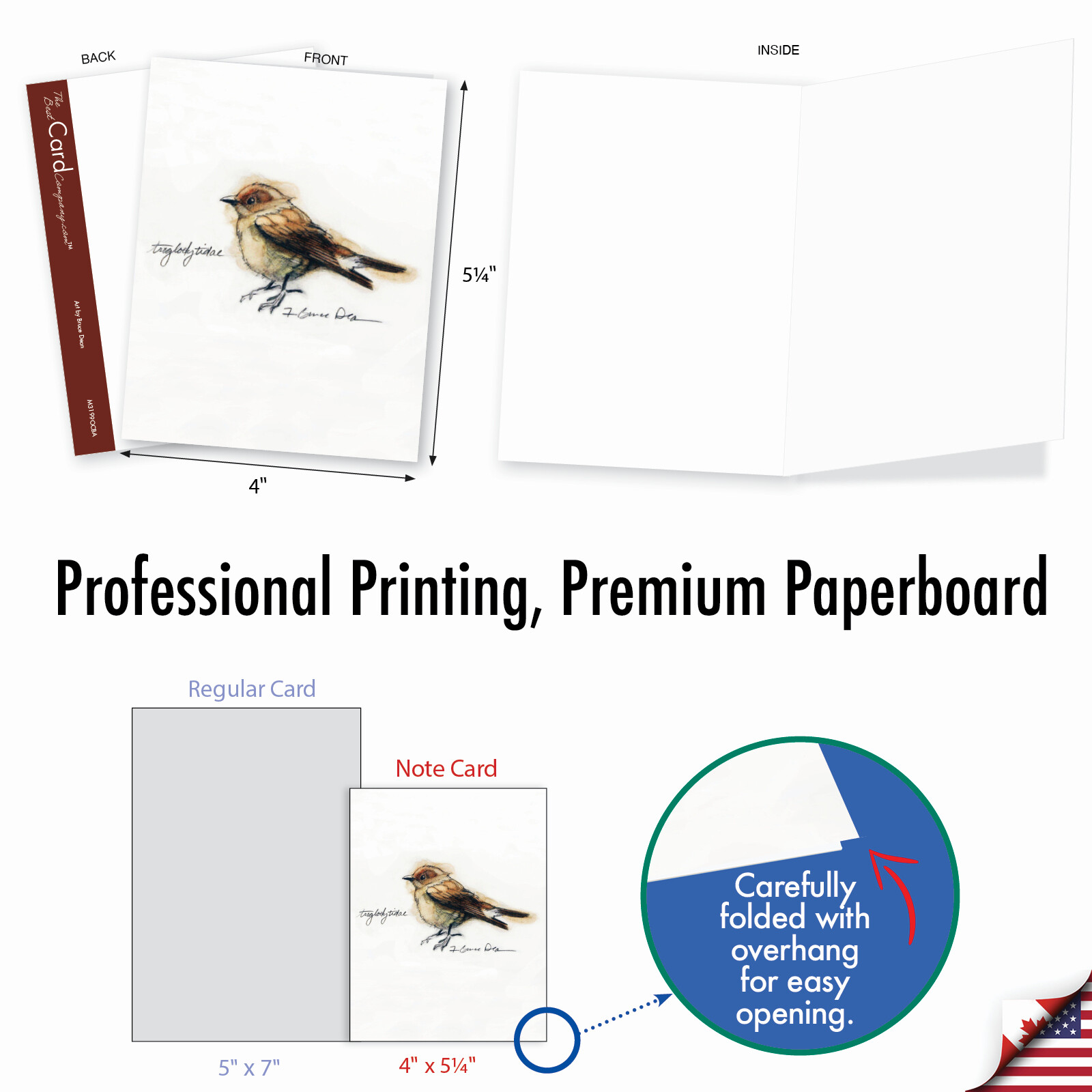 20 Assorted Blank Cards (10 Designs, 2 Each) – Birds Watching AM3199OCB-B2x10