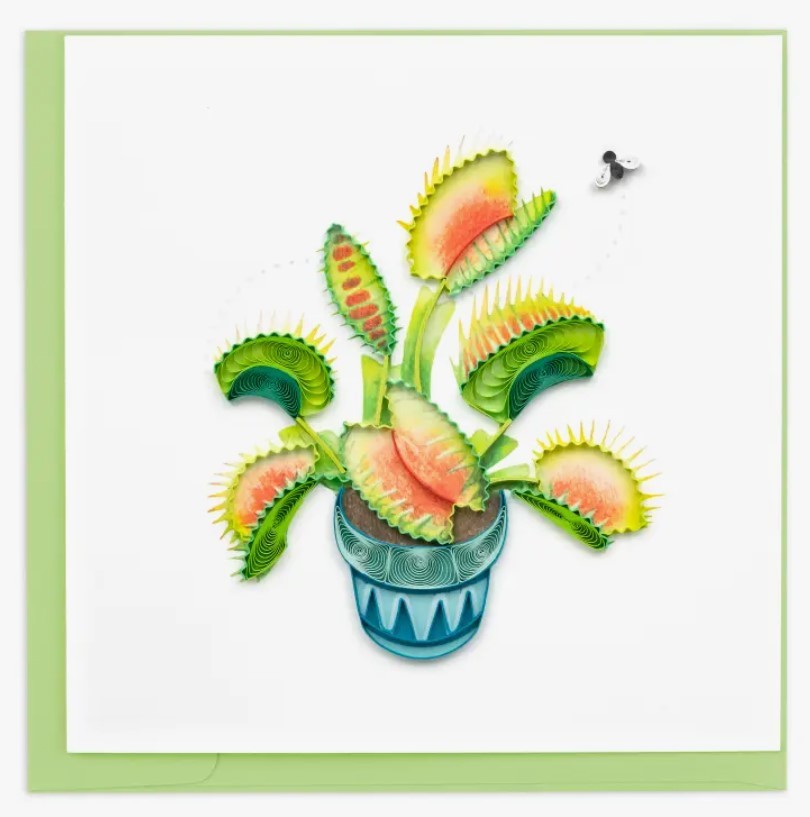Quilling Card Quilled Venus Flytrap Card Greeting Card