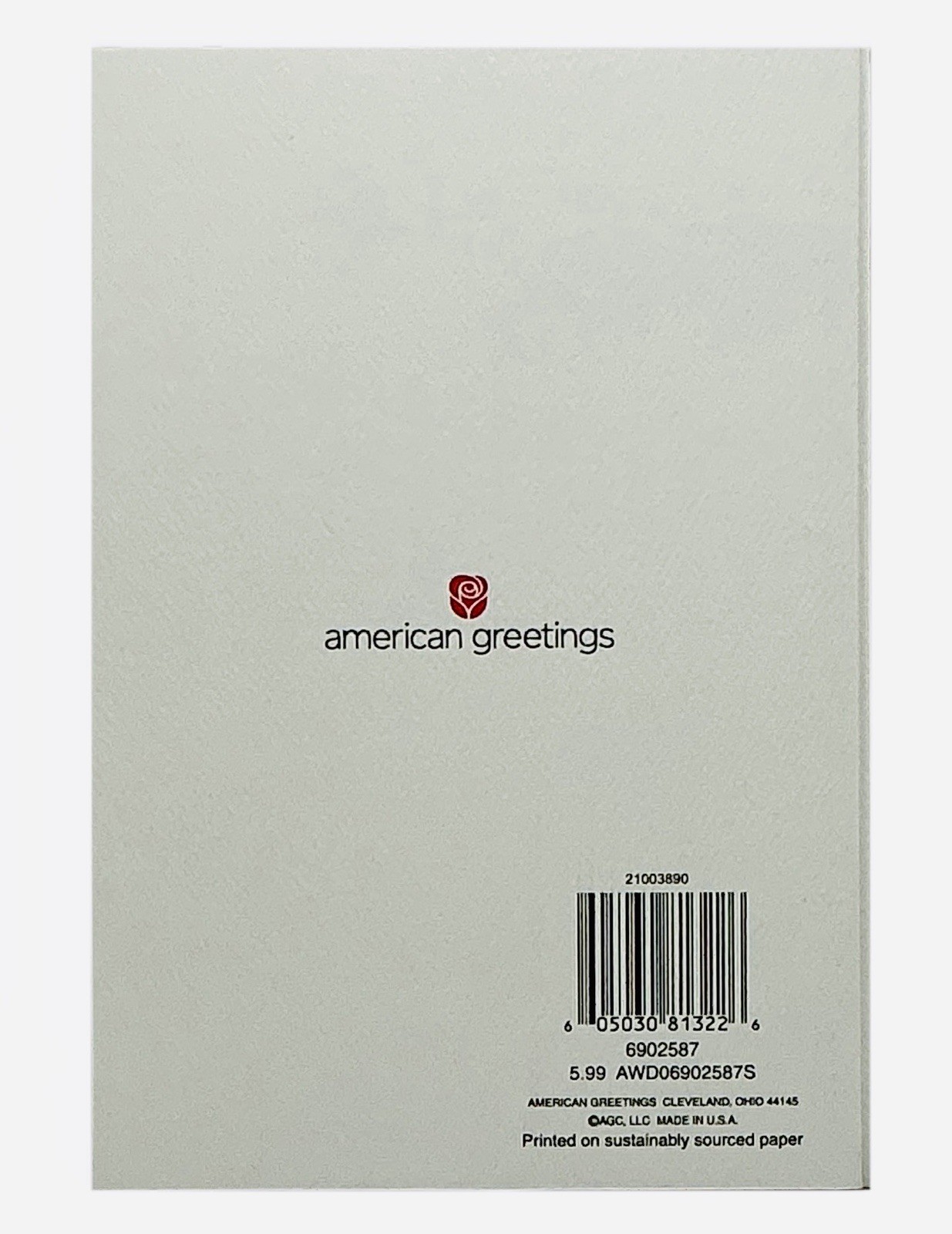 Wedding Shower Card For The Future Mr & Mrs, American Greetings Card NEW