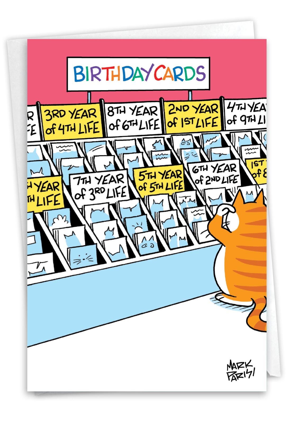 Cat Lives: Hilarious Birthday Printed Card with Envelope
