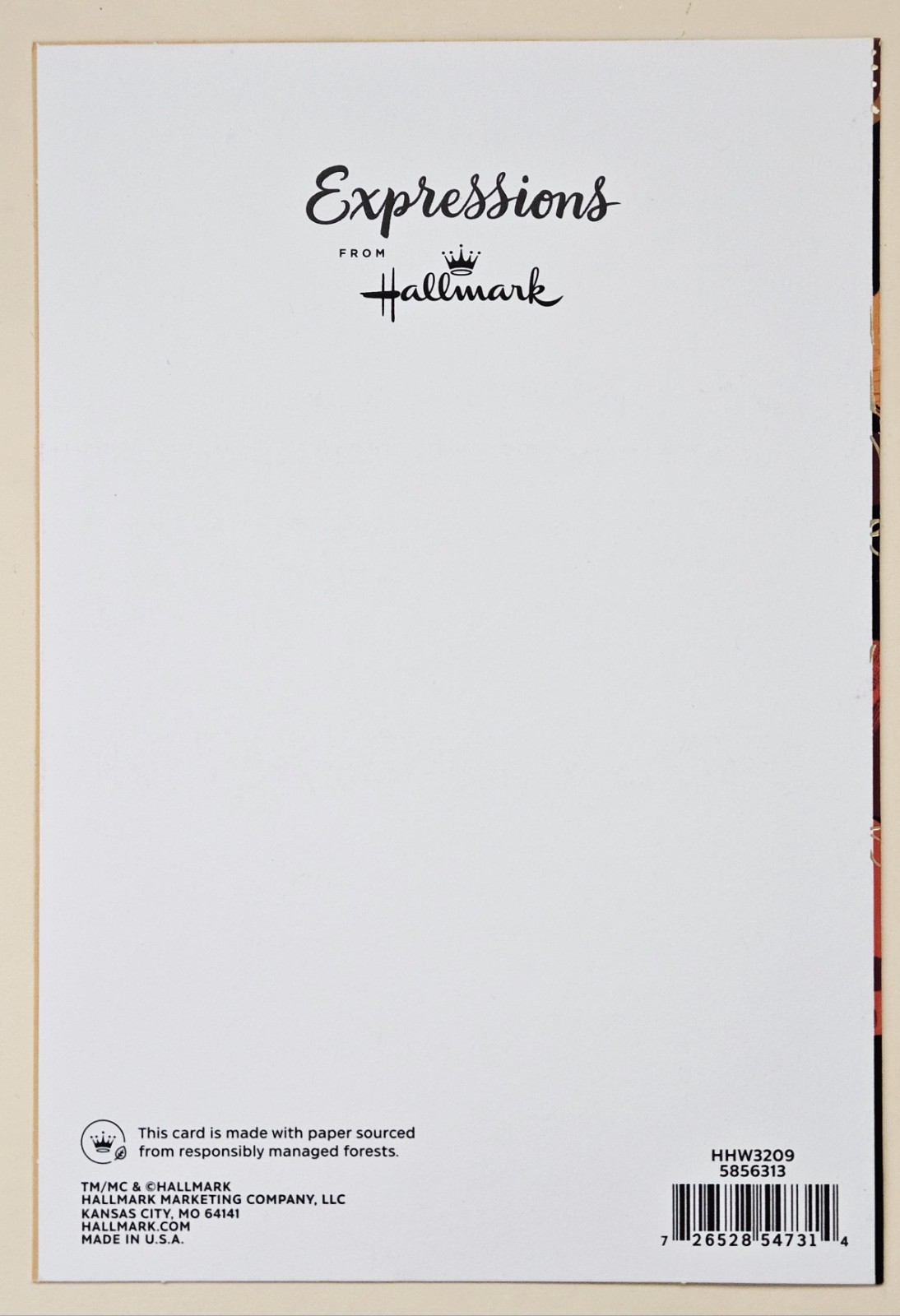 Happy Halloween /Thinking Of You! Greeting Card Large Format (+Envelope 8×5,5″)
