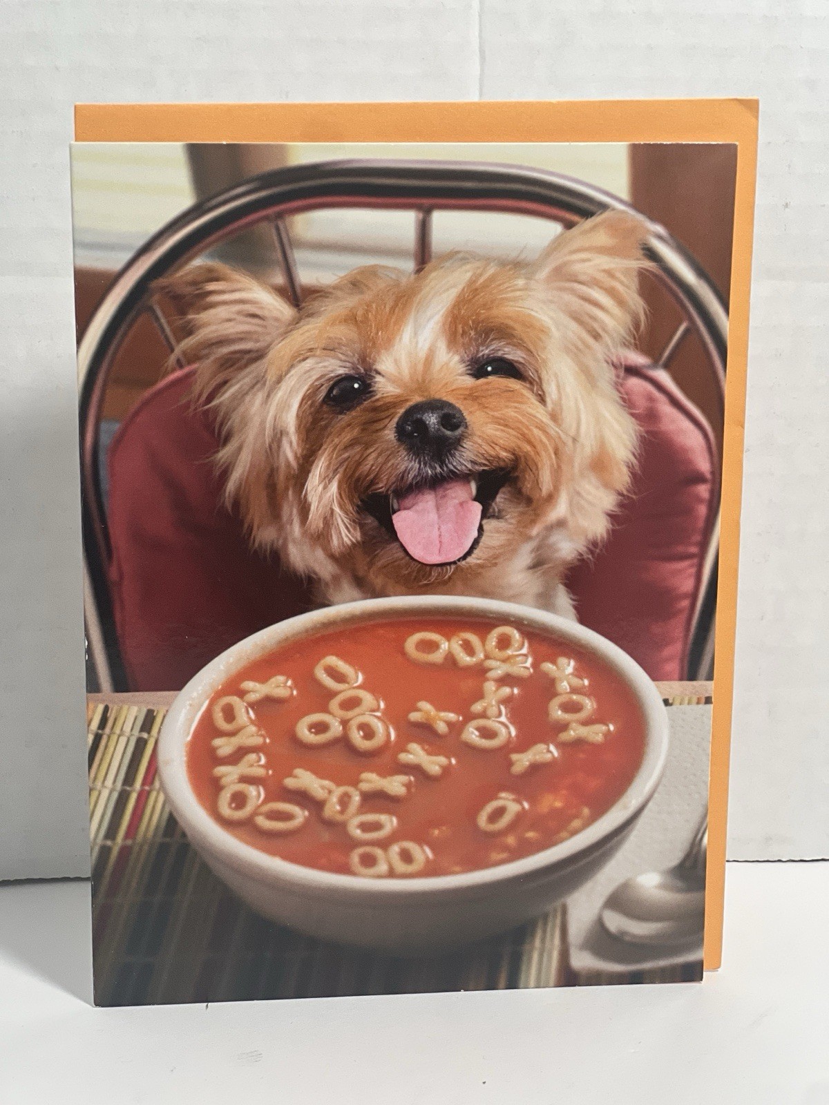 Get Well Soon Card By Avanti Press
