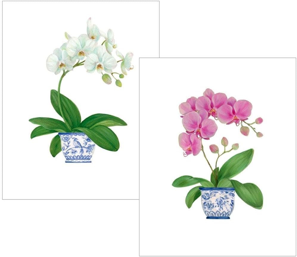 Caspari Assorted Note Cards, Potted Orchids – Box of 10 (94605.46A)