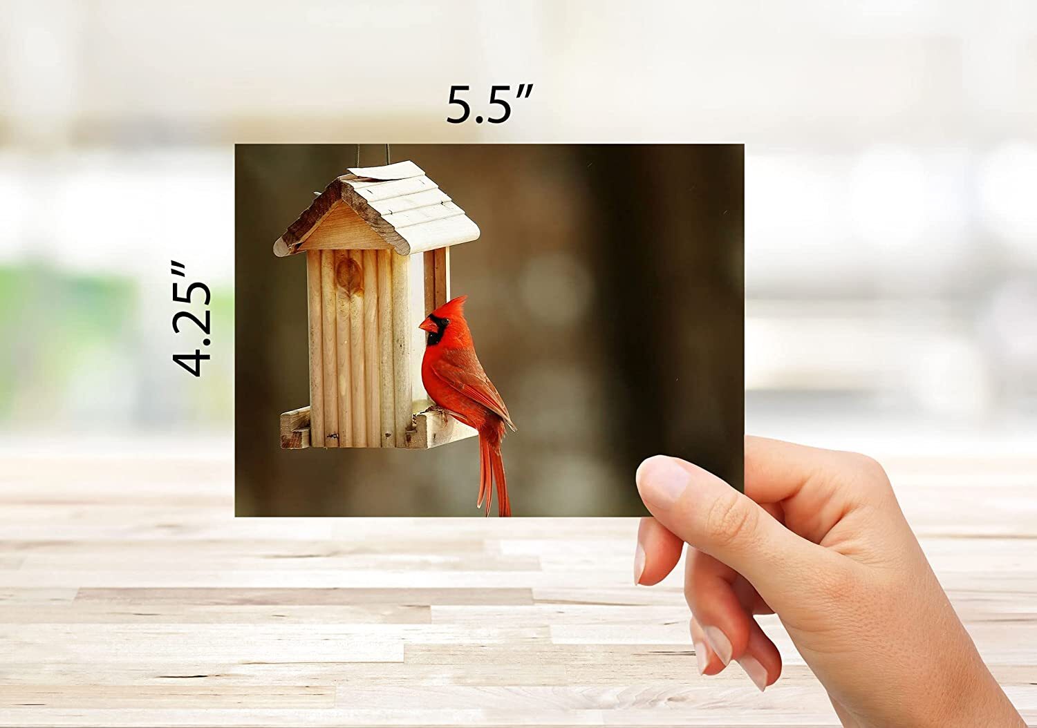 Cardinal Greeting Cards-Blank Inside-Available in 12 and 24 Packs-5.5″x4.25″