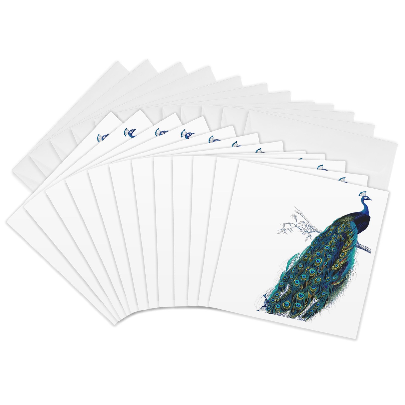 3dRose Greeting Cards, 6 x 6 Inches, Pack of 12, Vintage Peacock Art