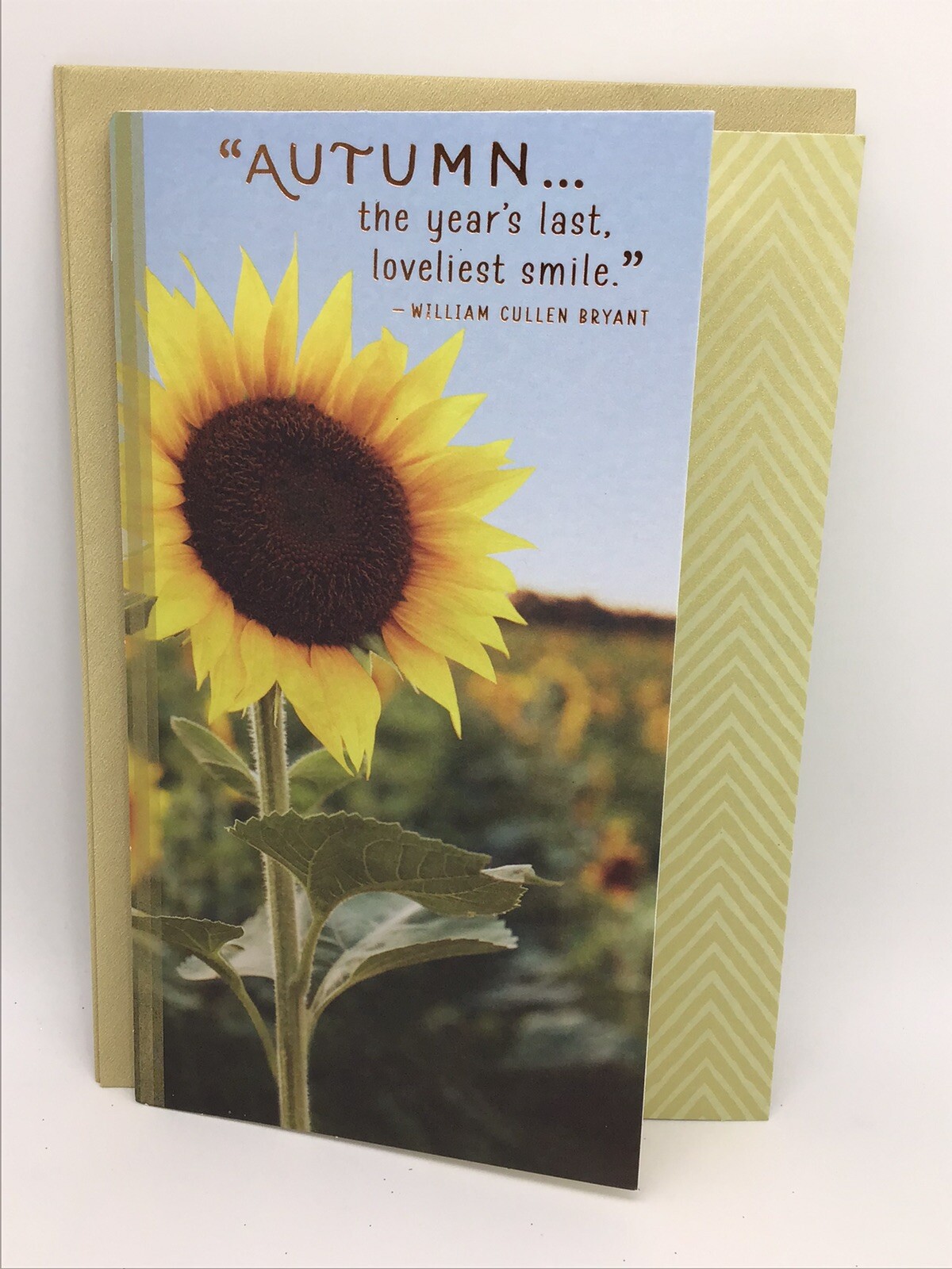 2 Beautiful Hallmark Happy Thanksgiving Card Autumn Friend Family 8×5.5