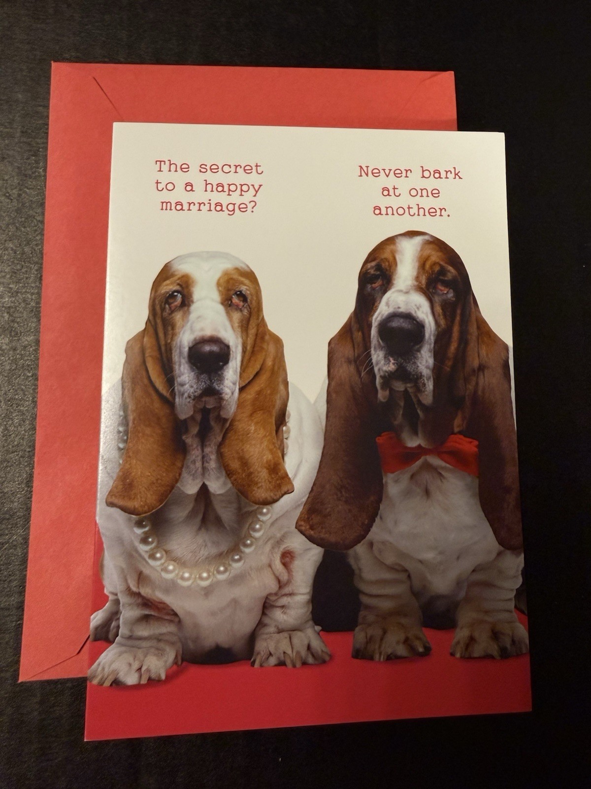 RSVP Two Dogs Anniversary Card Funny / Humorous Birthday Card
