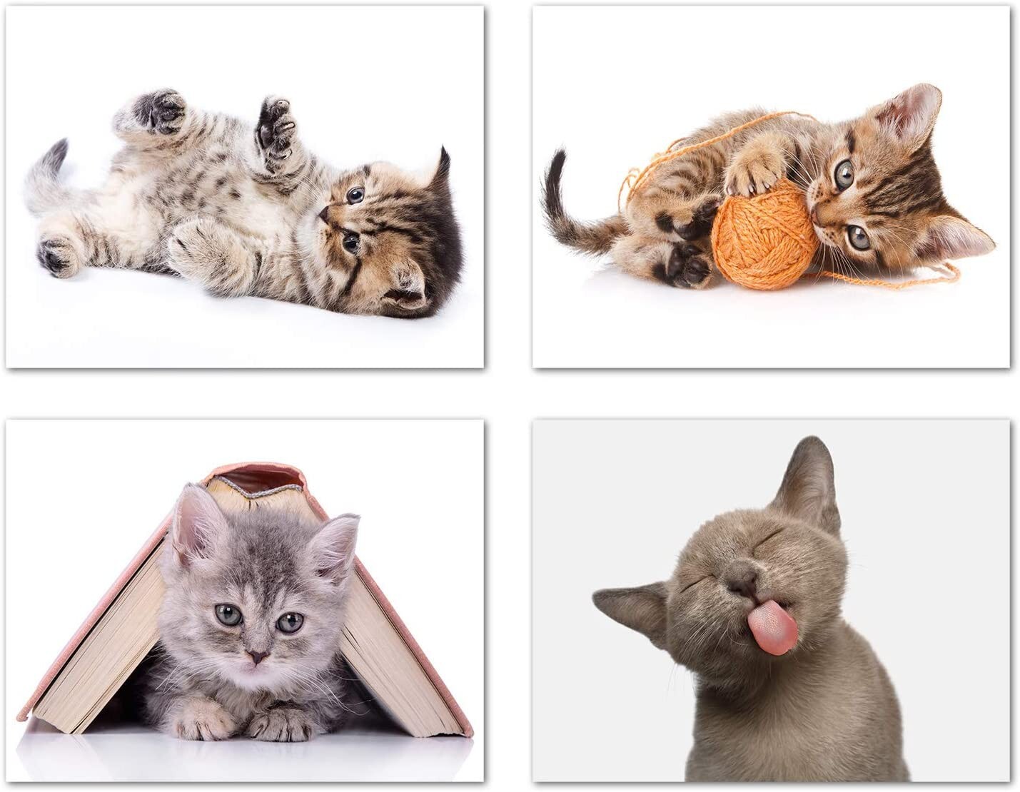 Playful Kitten Greeting Cards-Blank Inside with Envelopes-5.5″x4.25″-12 Pack