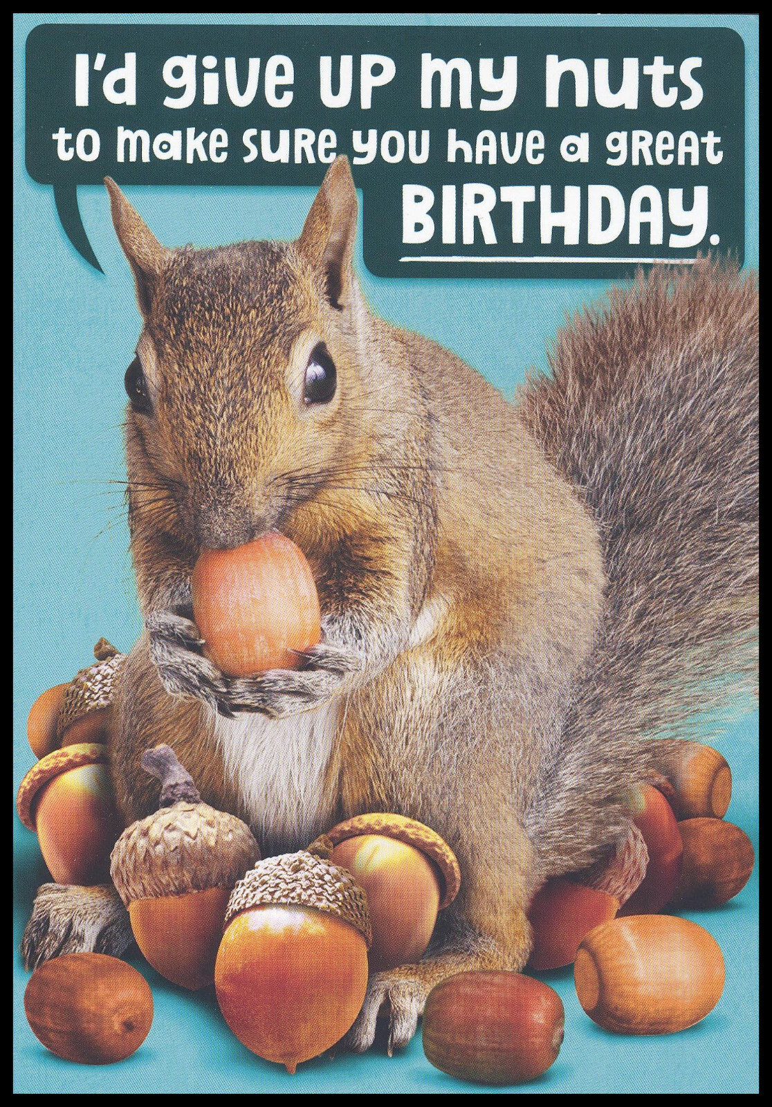 Greeting Card – Squirrel – Birthday – 0538