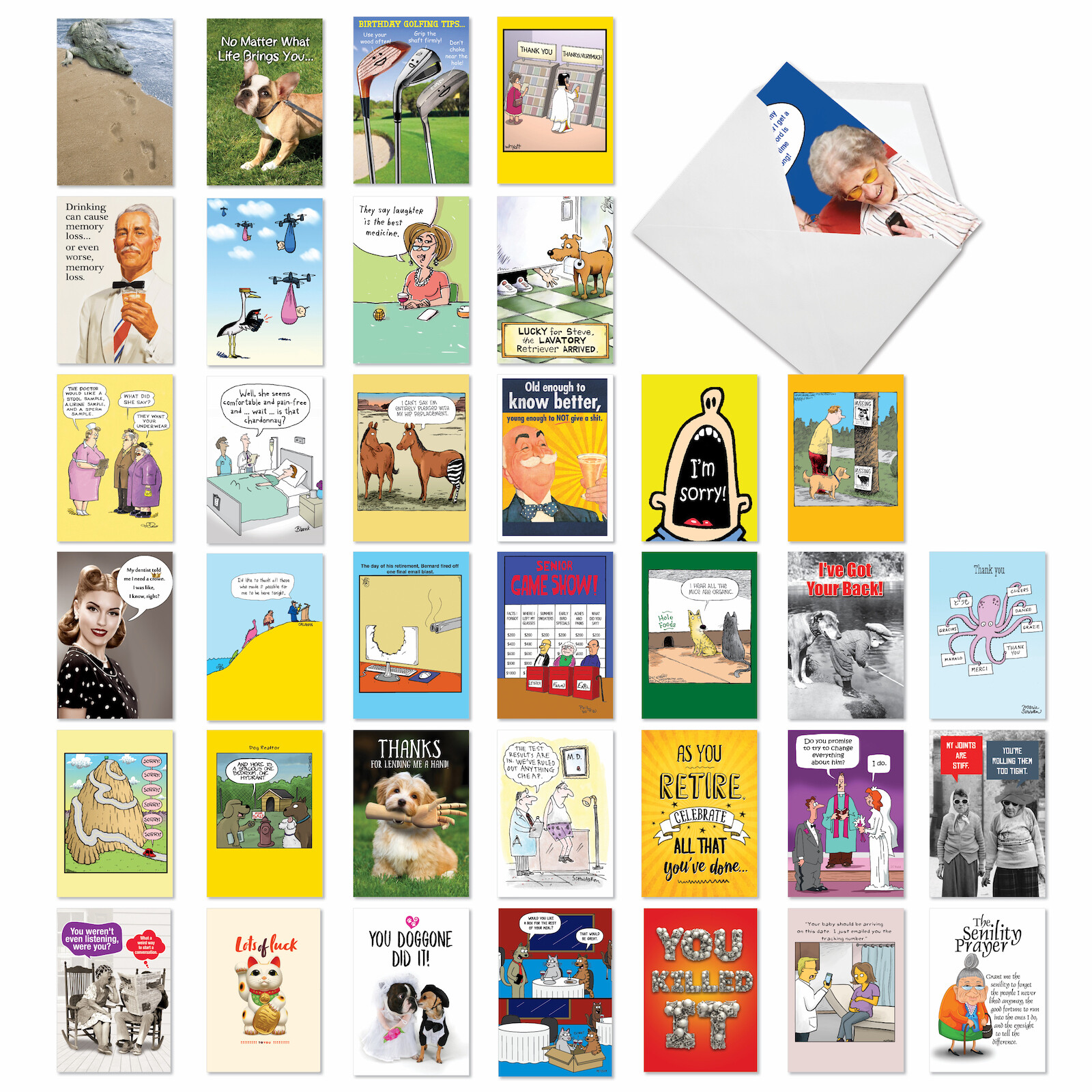 36 Asst’d Set Funny Blank Greeting Cards w/ 5×7″ Env. – Blank Expressions